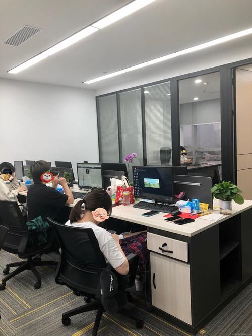 留学中介服务的多维解析 从信息咨询到教育规划